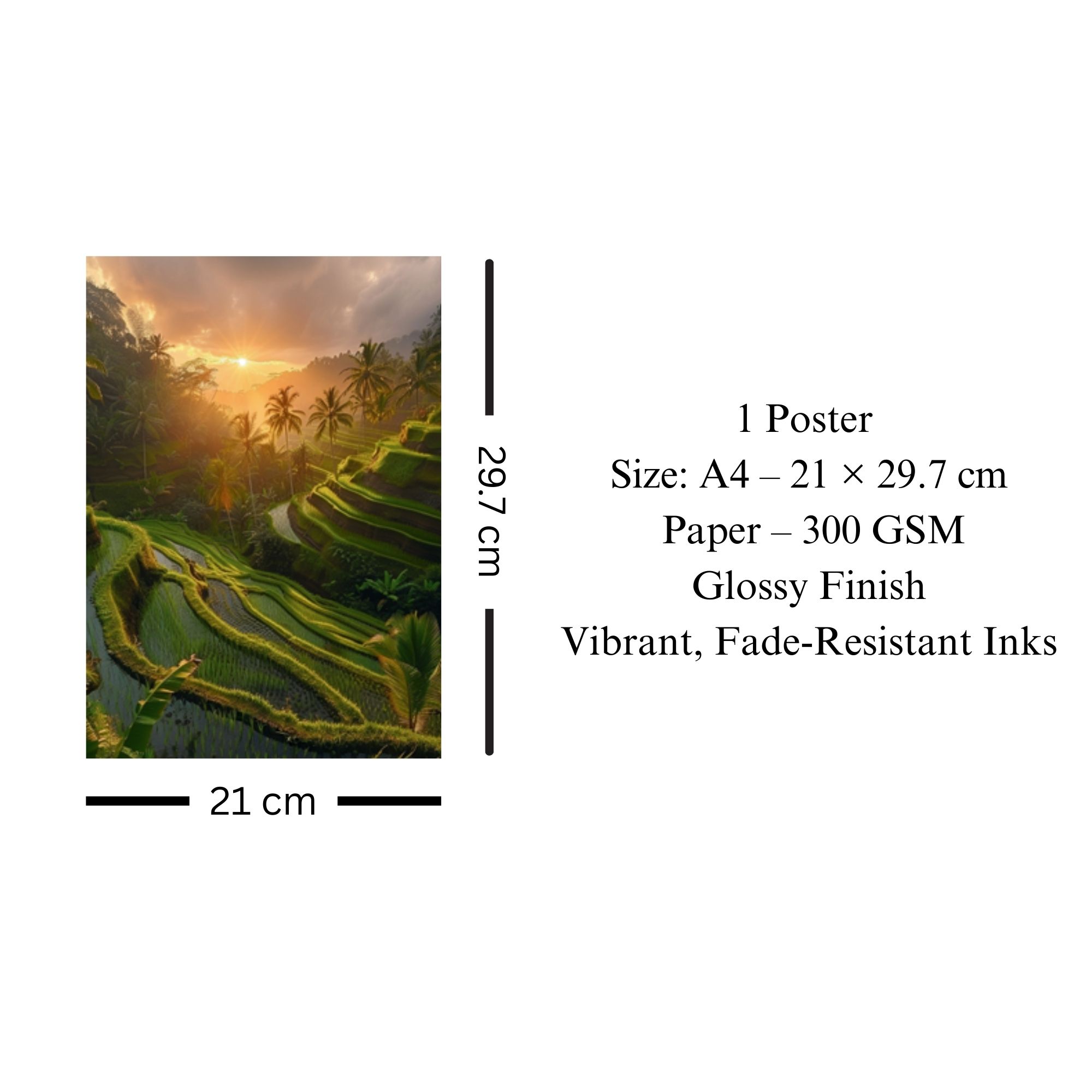 Bali Rice Terraces Sunrise Poster A4 image 3