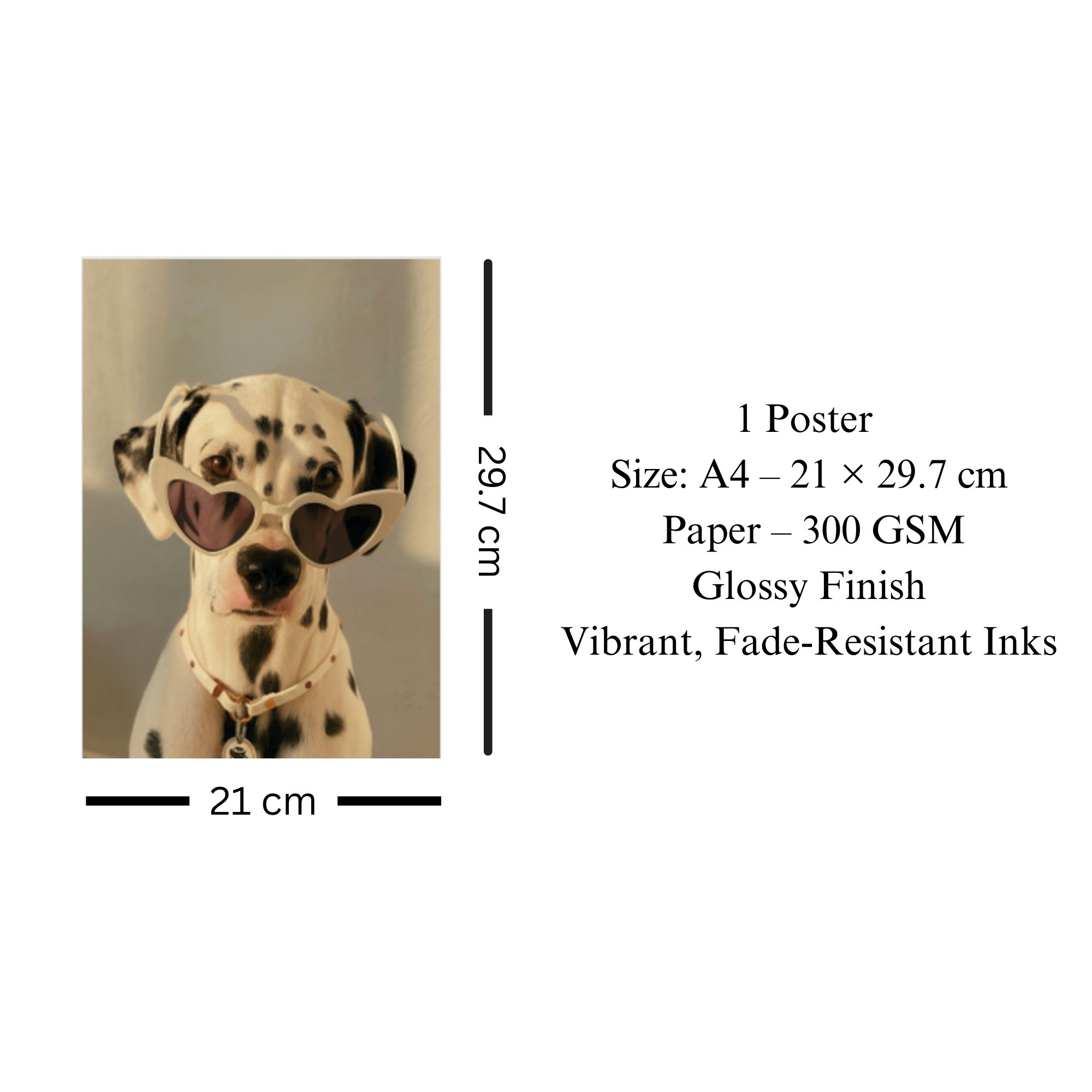 Dalmatian with Sunglasses Poster A4 image 3