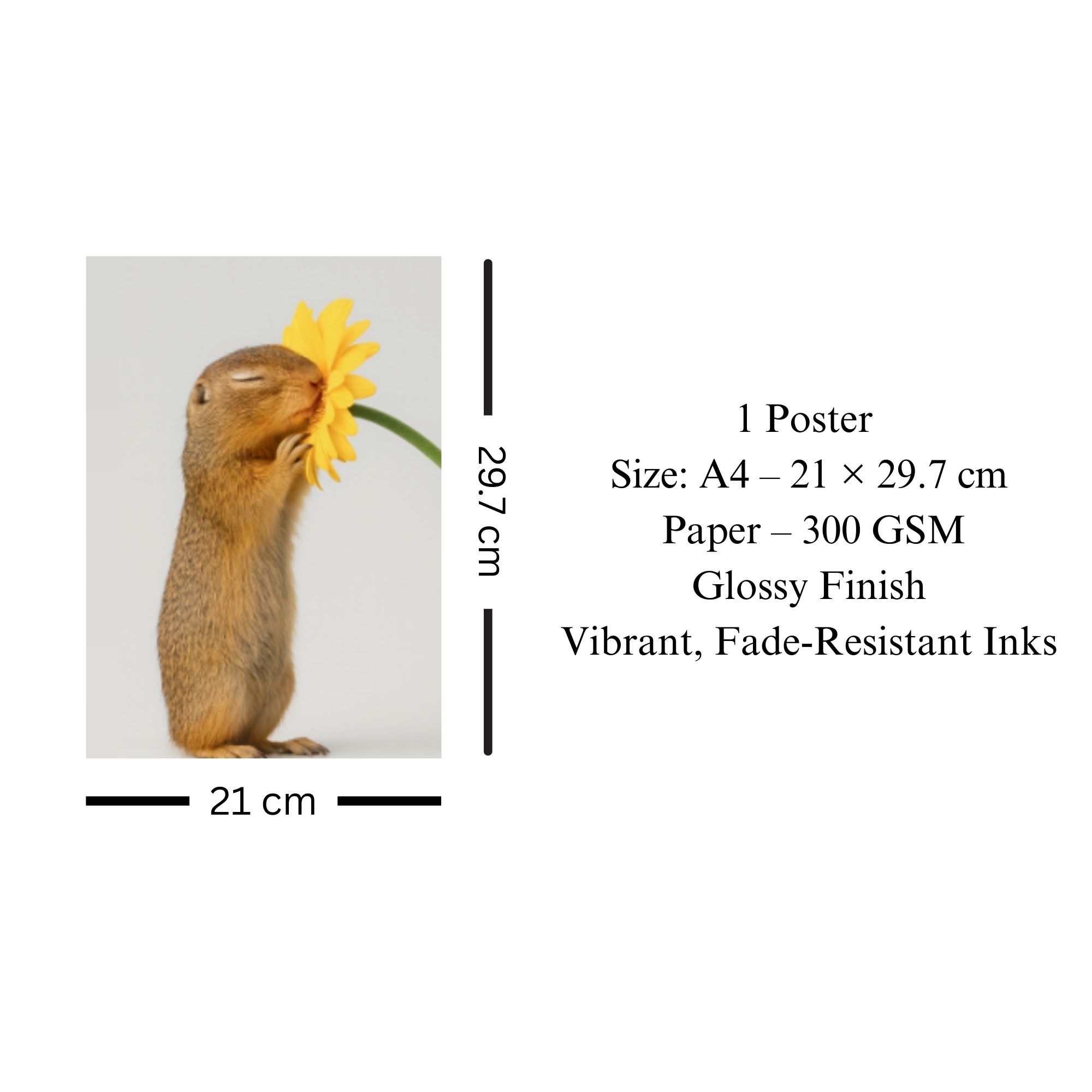 Squirrel with Flower Poster A4 image 3