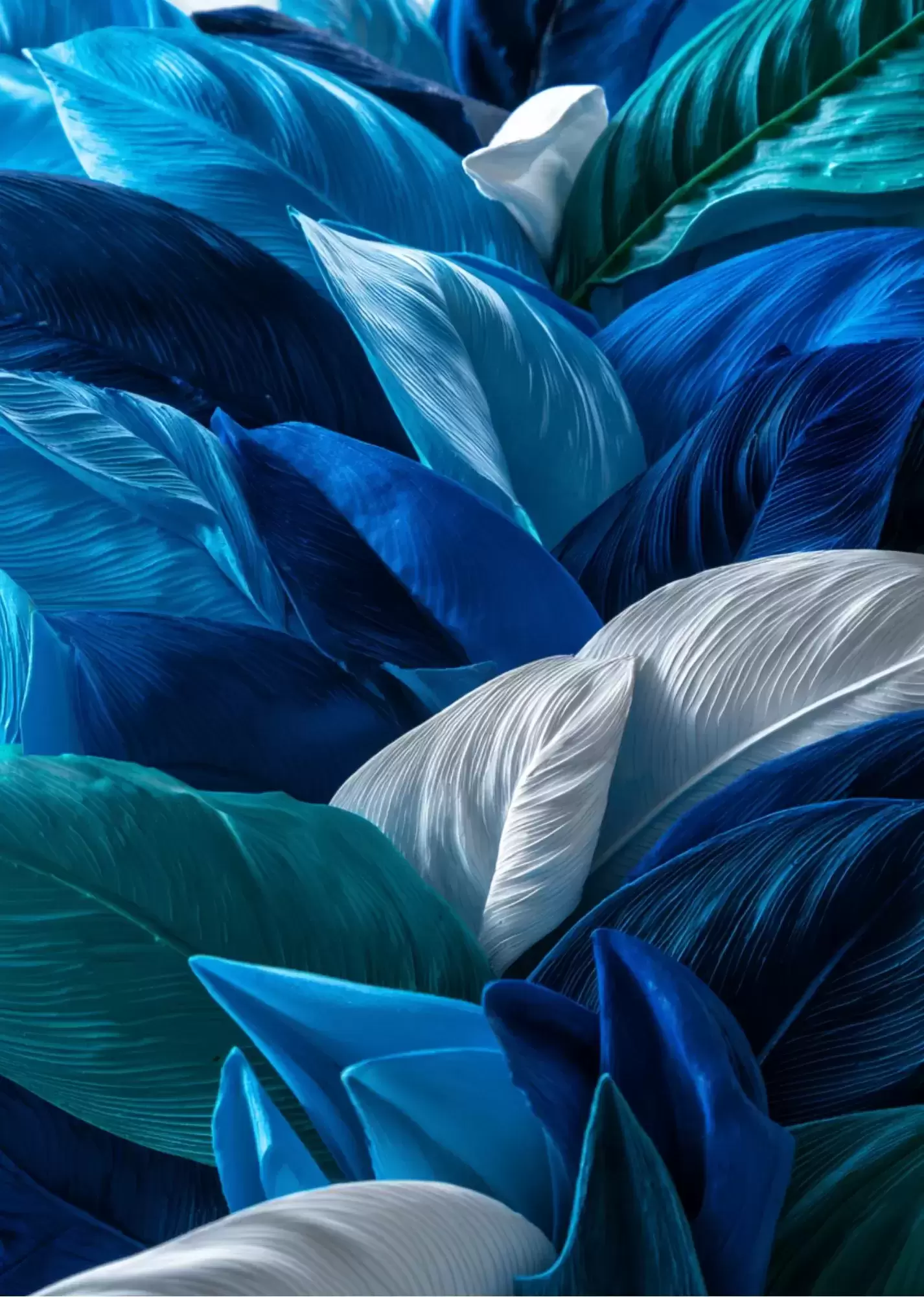 A5 Blue Aesthetic Botanical Leaves Poster – Modern Nature Wall Art - A5 Blue Aesthetic Abstract Leaf Texture Poster – Contemporary Art Print