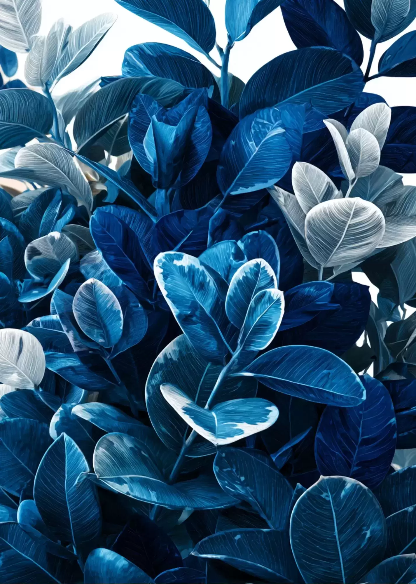 A5 Blue Aesthetic Botanical Leaves Poster – Modern Nature Wall Art - A5 Blue Aesthetic Tropical Foliage Poster – Bold Botanical Wall Art