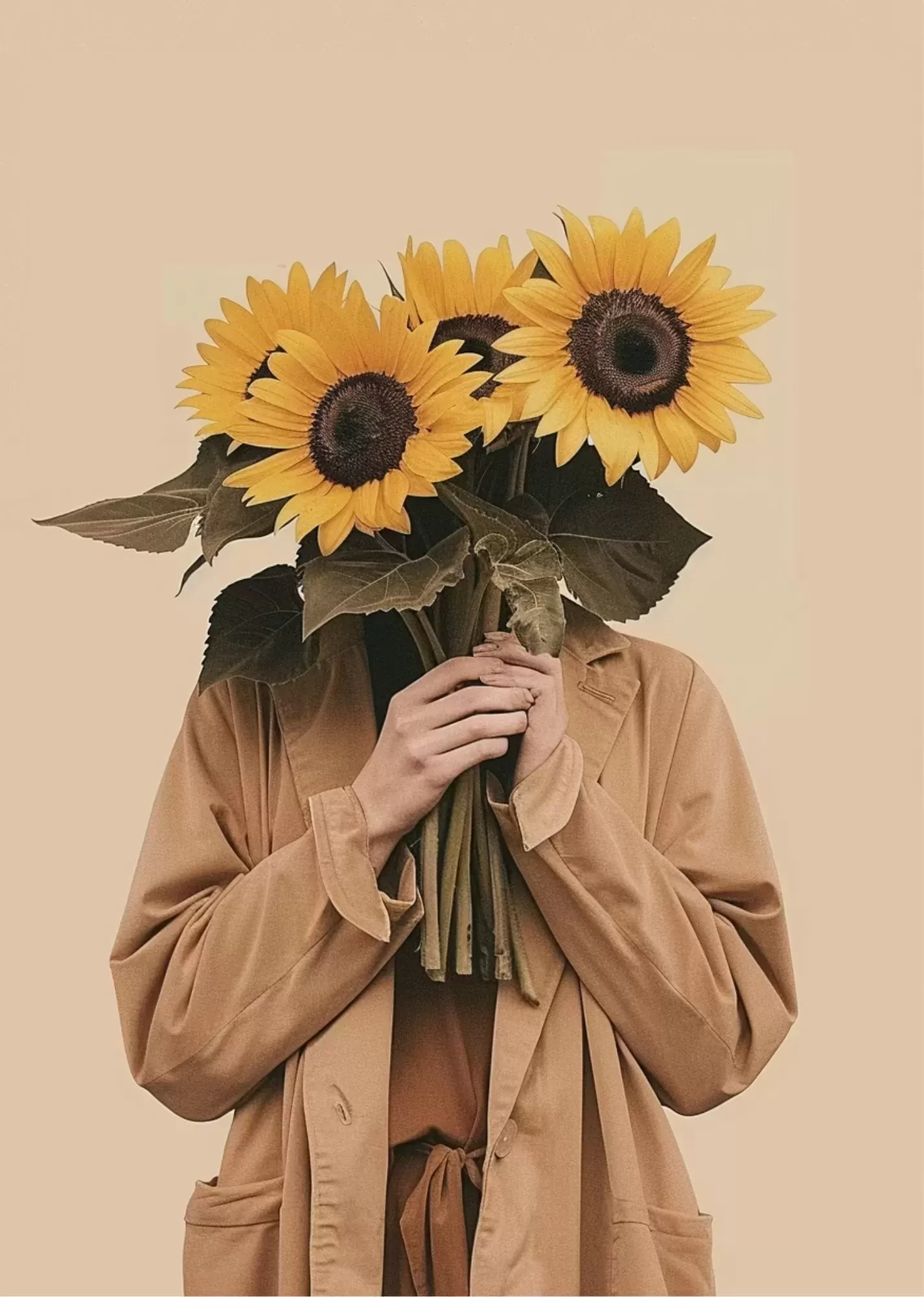 Aesthetic Cat & Butterfly Minimal Poster - Sunflower Face Aesthetic Art Poster