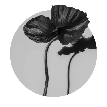 Minimalist Posters